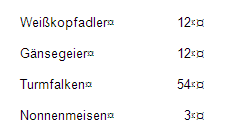 Excel-Tabelle in der Zwischenablage