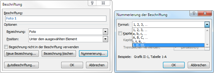 Ansicht der Fenster zur Änderung von Nummerierung der Beschriftung